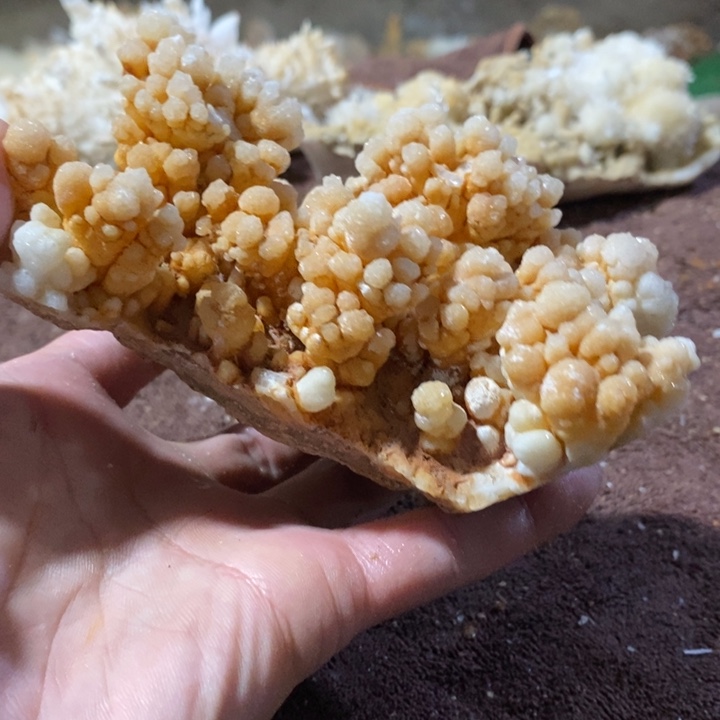 绘***石玛瑙/玉髓合金挂件