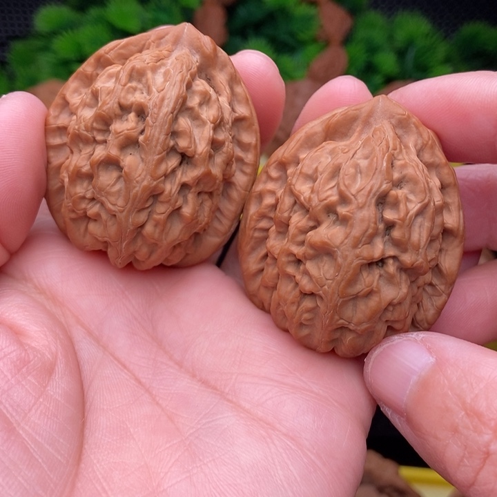 红锦鲤43全品11111111