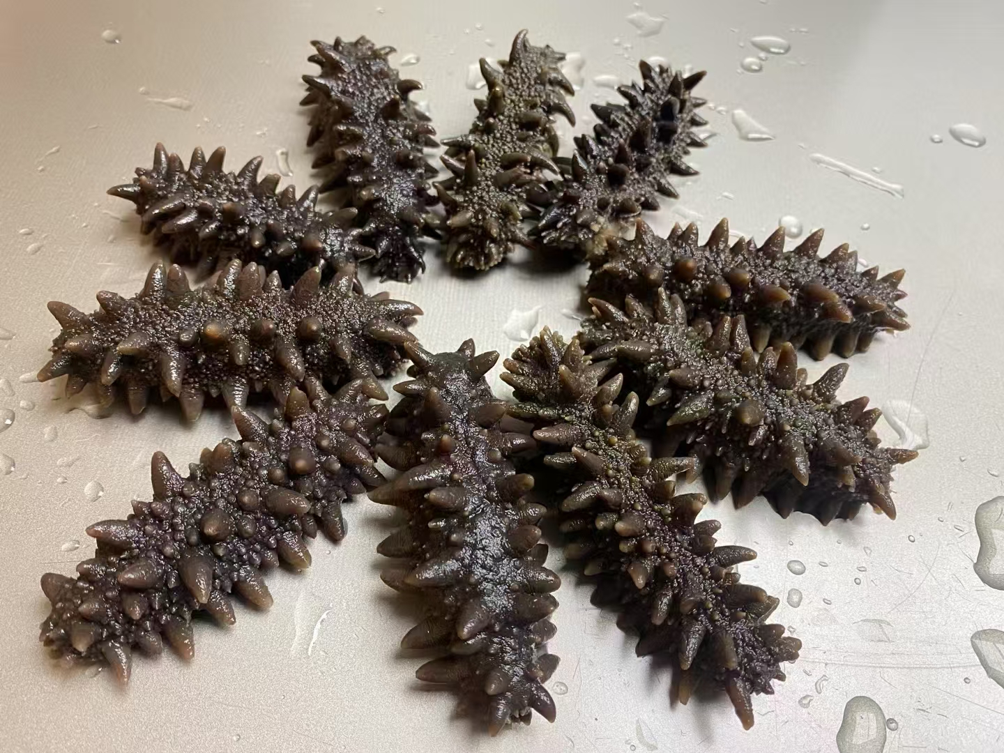 三疆迎花：俄罗斯淡干（品相条形略差款不影响海参营养）