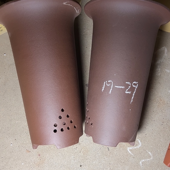 周三周四自始至终自作自受 