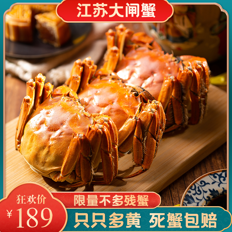 活动【活蟹】江苏大闸蟹母蟹2两15只3斤微带泥全母蟹顺丰