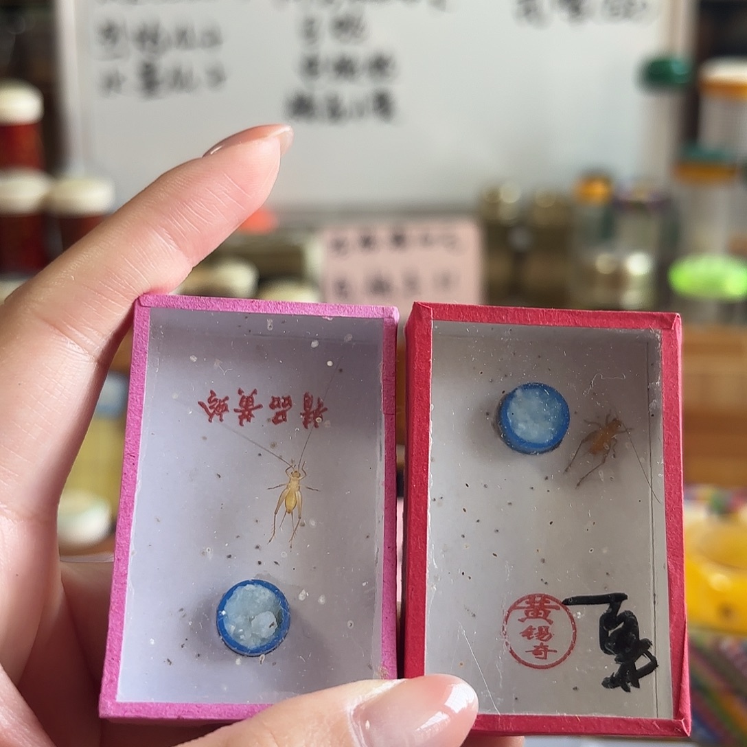 中黄 小黄精品 不包断须尾