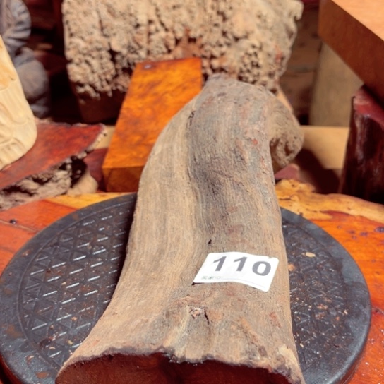 大果紫檀（缅甸花梨）