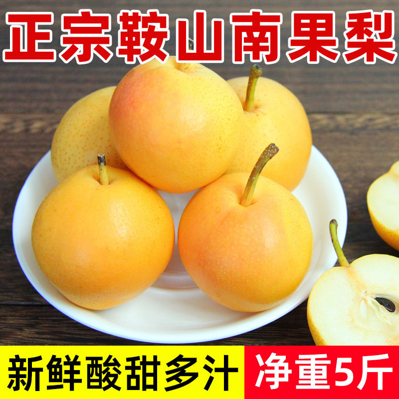 鞍山新鲜南果梨阳面红果27枚中大果孕妇老少皆宜包邮到家