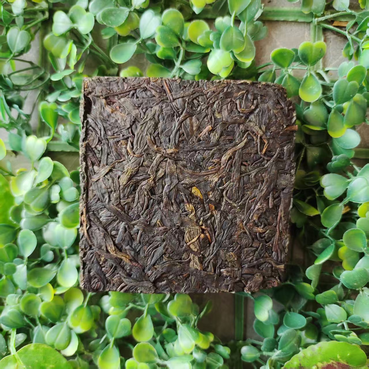 雨腾古茶  “301 N楼”天X 苑"S精"紫芽茶200g/砖 生茶（6月14）