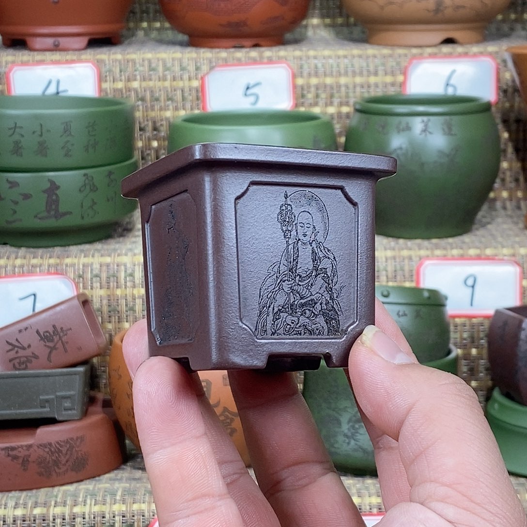 紫砂花盆我在等一