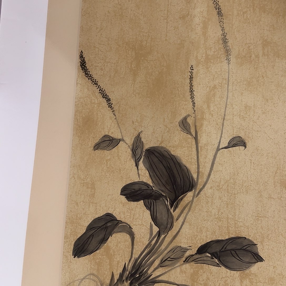 书法王老师花草精品