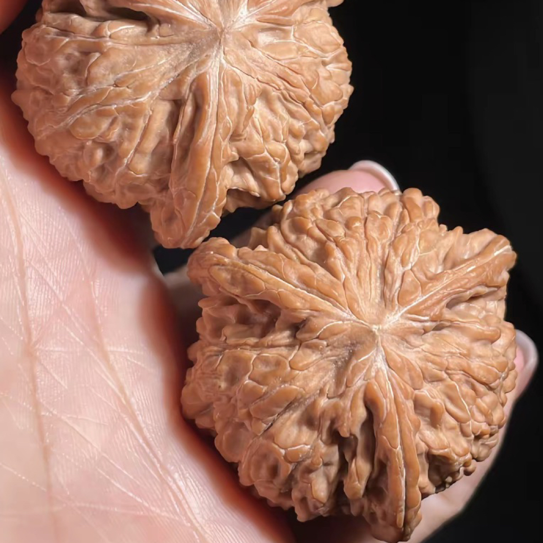 产地直发各种品种精品核桃