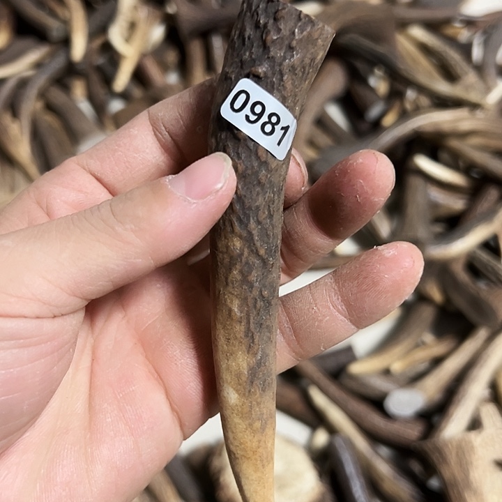 香榧木木雕款鹿角
