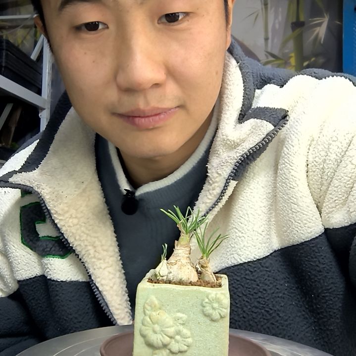 归***鱼中青园艺一物一拍花145