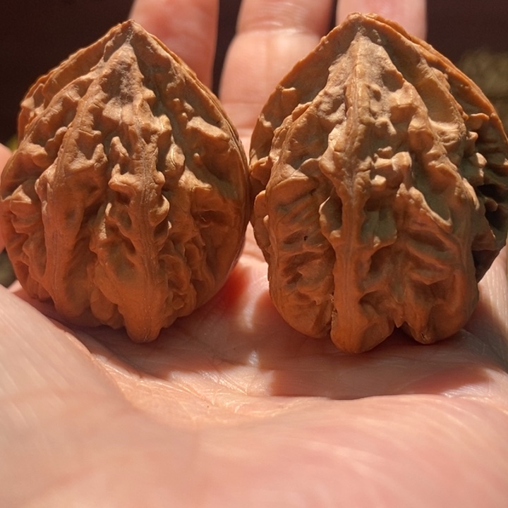 吊坠文玩核桃聚核财婉楸63