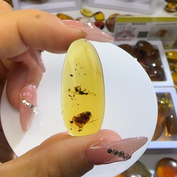 鱼***溜琥珀未镶嵌裸石虫珀标本