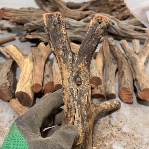 大果紫檀（缅甸花梨）凉