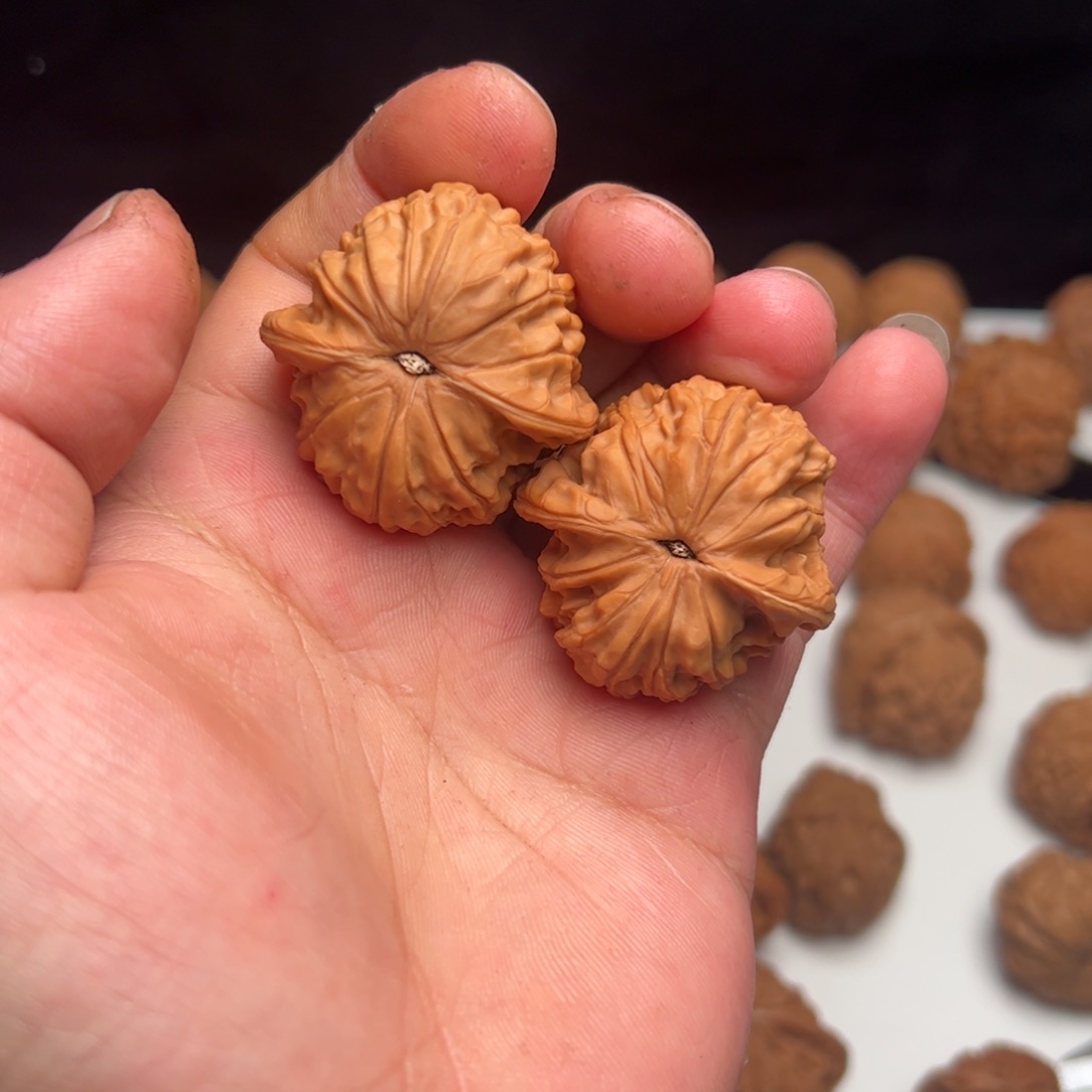 你***闲文玩核桃 6668886868