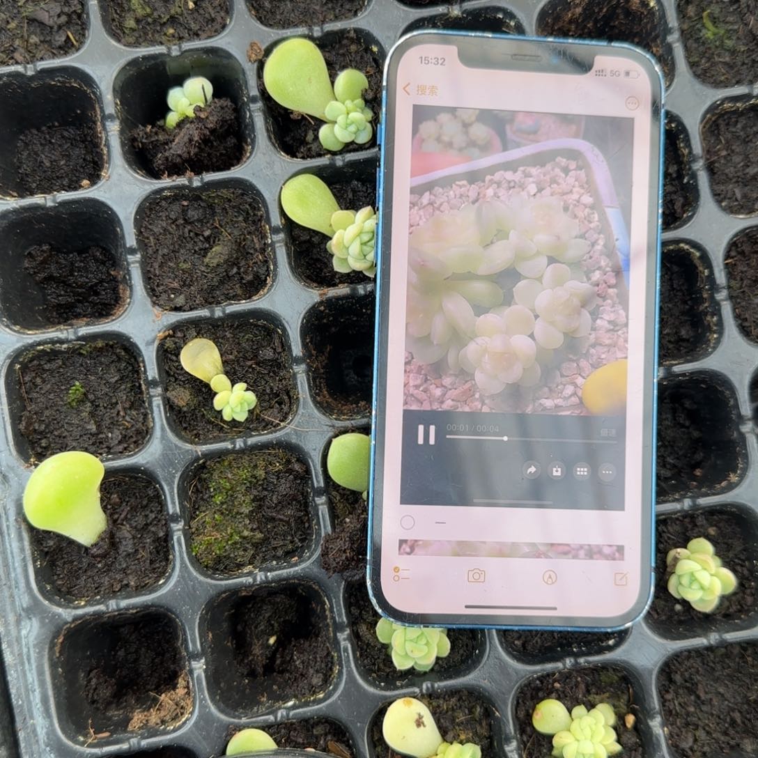 Pc11 穴一个满25包邮