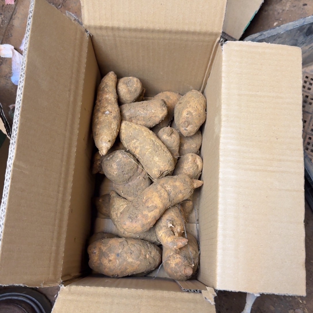 d***怡天麻 三斤包邮3817