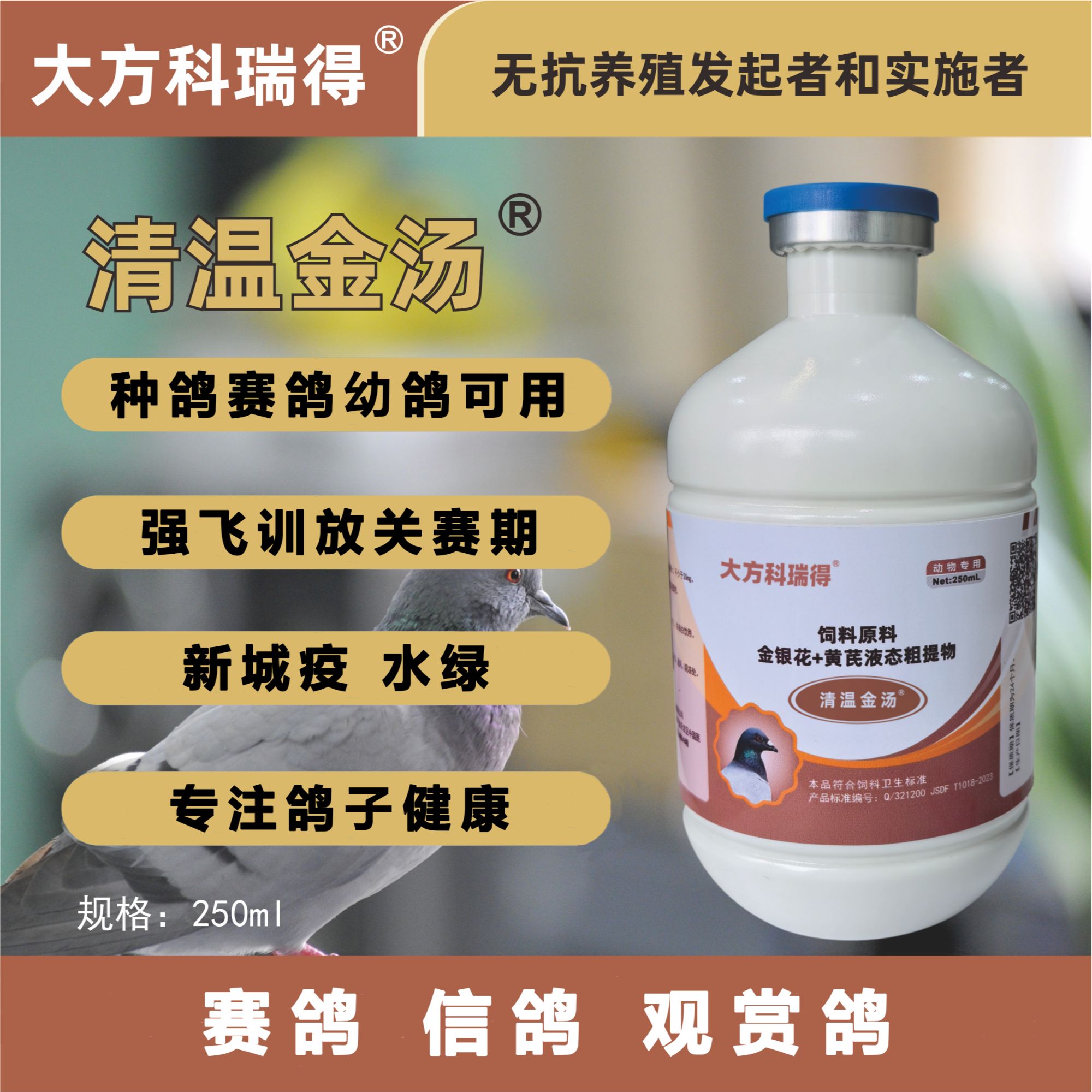 大方科瑞得清温金汤赛鸽种鸽幼鸽纯植物提取品质产品鹦鹉鸟类可用