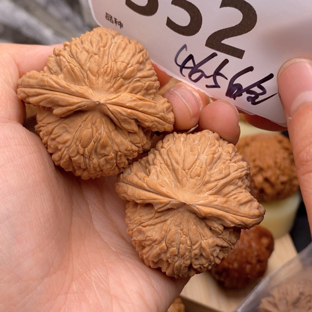 文玩核桃把件352号46:5白全