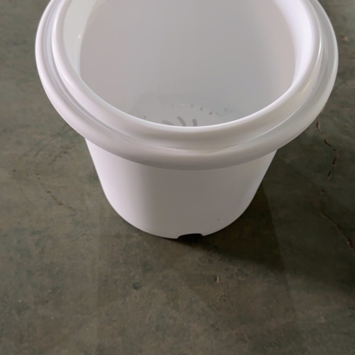 四季6#口径32白色10个无托