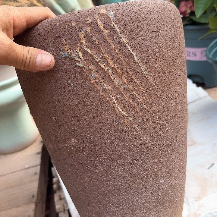 微瑕花盆啦啦哈哈