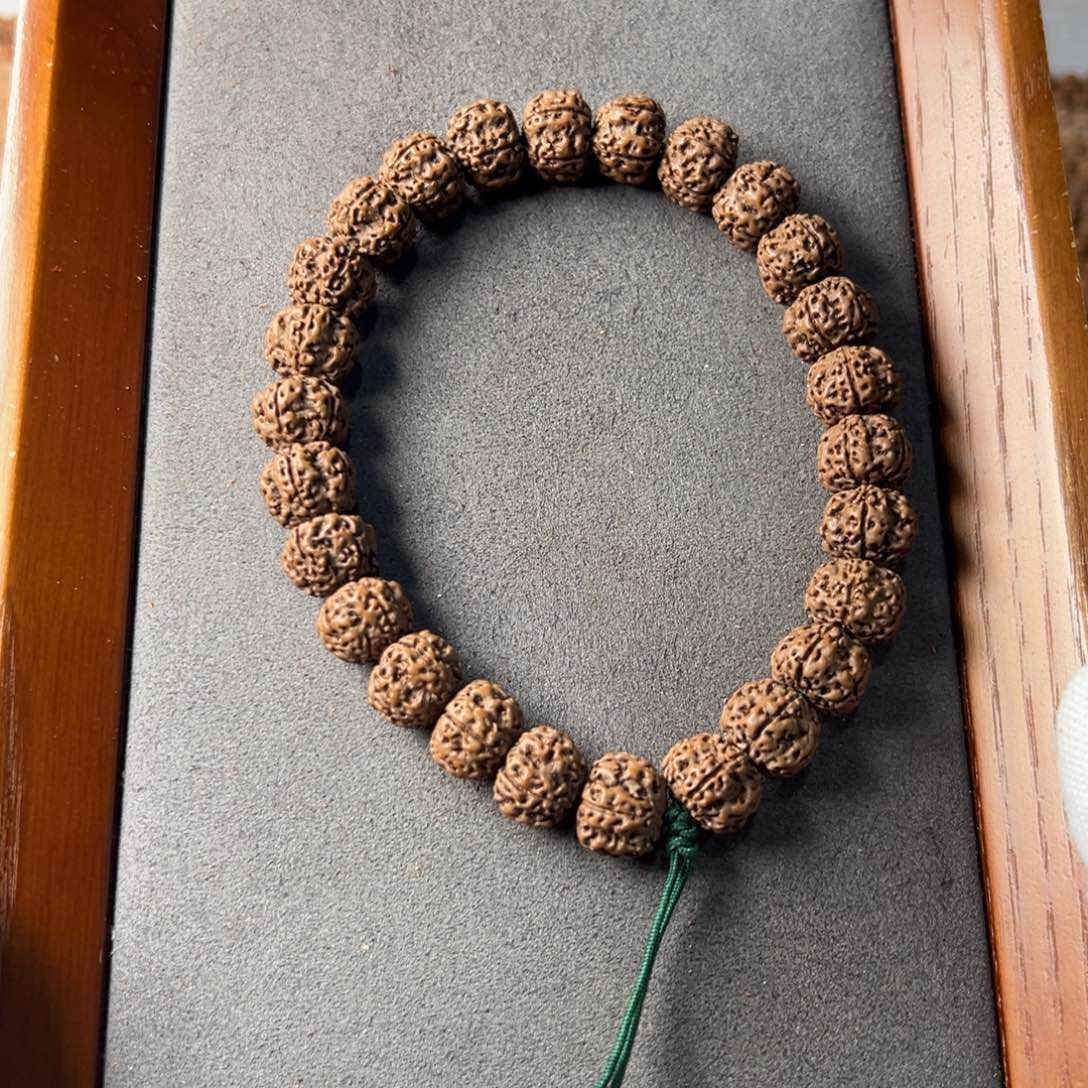 金刚菩提手串树神12.8