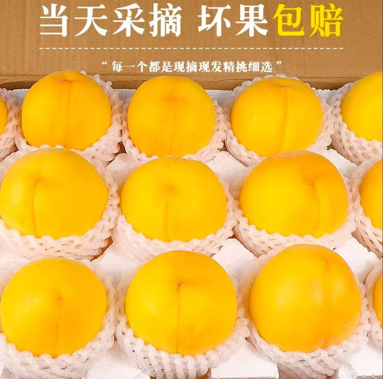 正宗黄桃应季新鲜水果甜美多汁脆软两吃黄毛桃