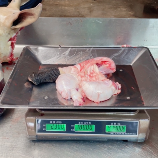 【闪购商品】冷冻保存30天包装河北省