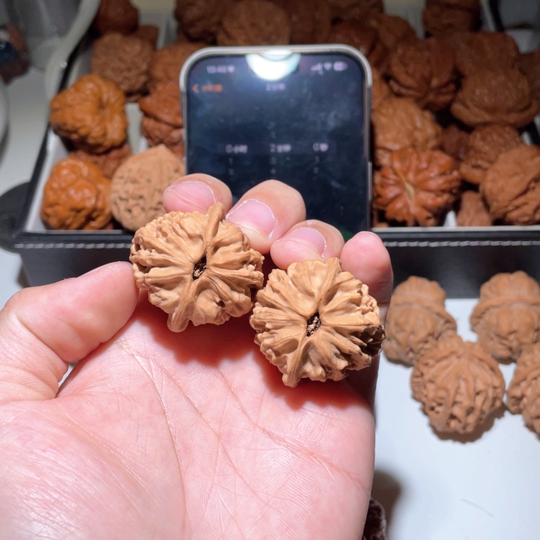 带****步35尺寸全品天地狮子头