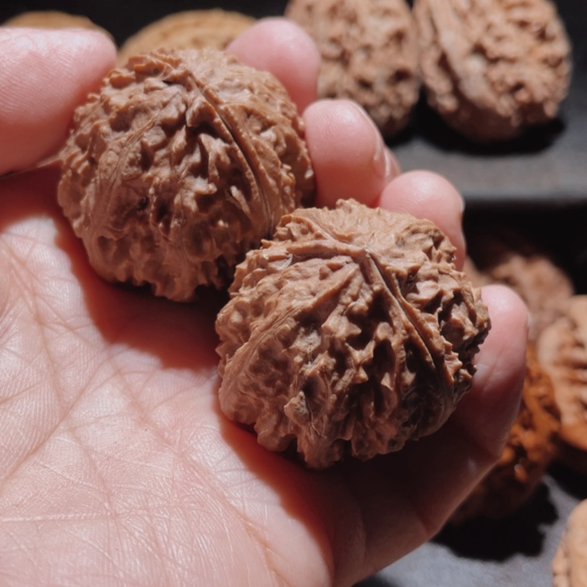 【闪购商品】文玩核桃把件T*东北楸子24