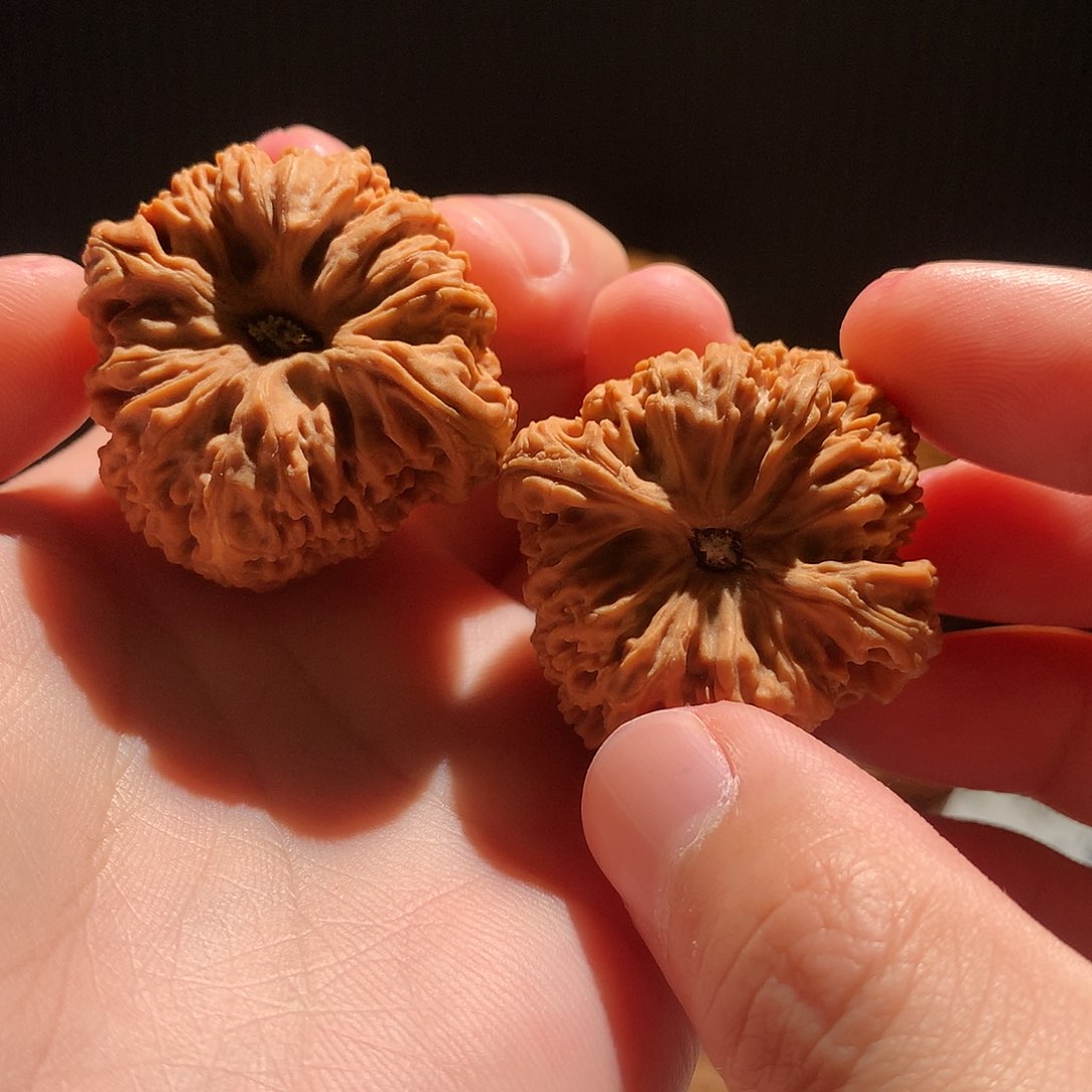 文玩核桃把件O****t南疆