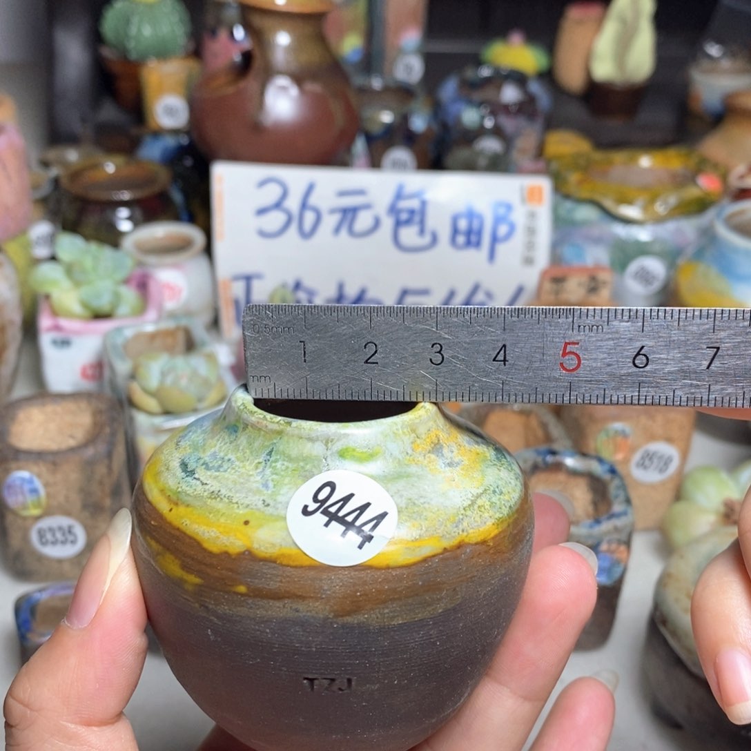 拍5送一个小礼物