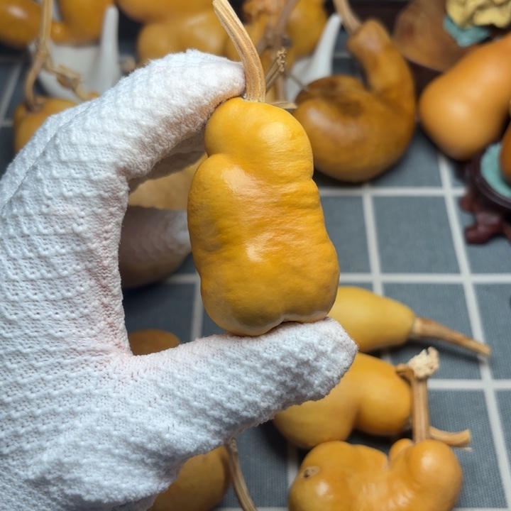 一***鱼葫芦风裂6666666666