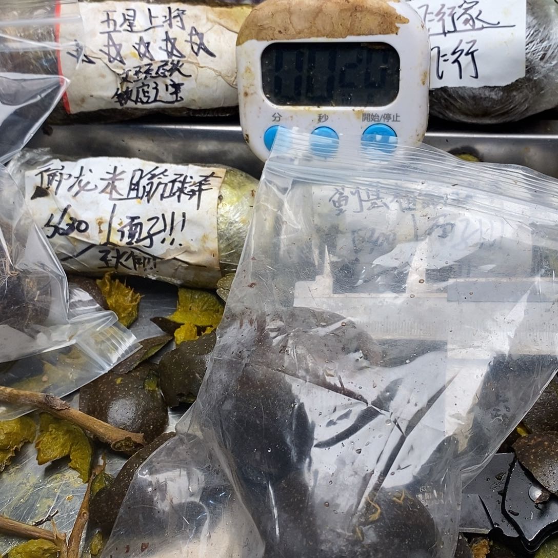 阿***吁刚回家后回家看看男男女女