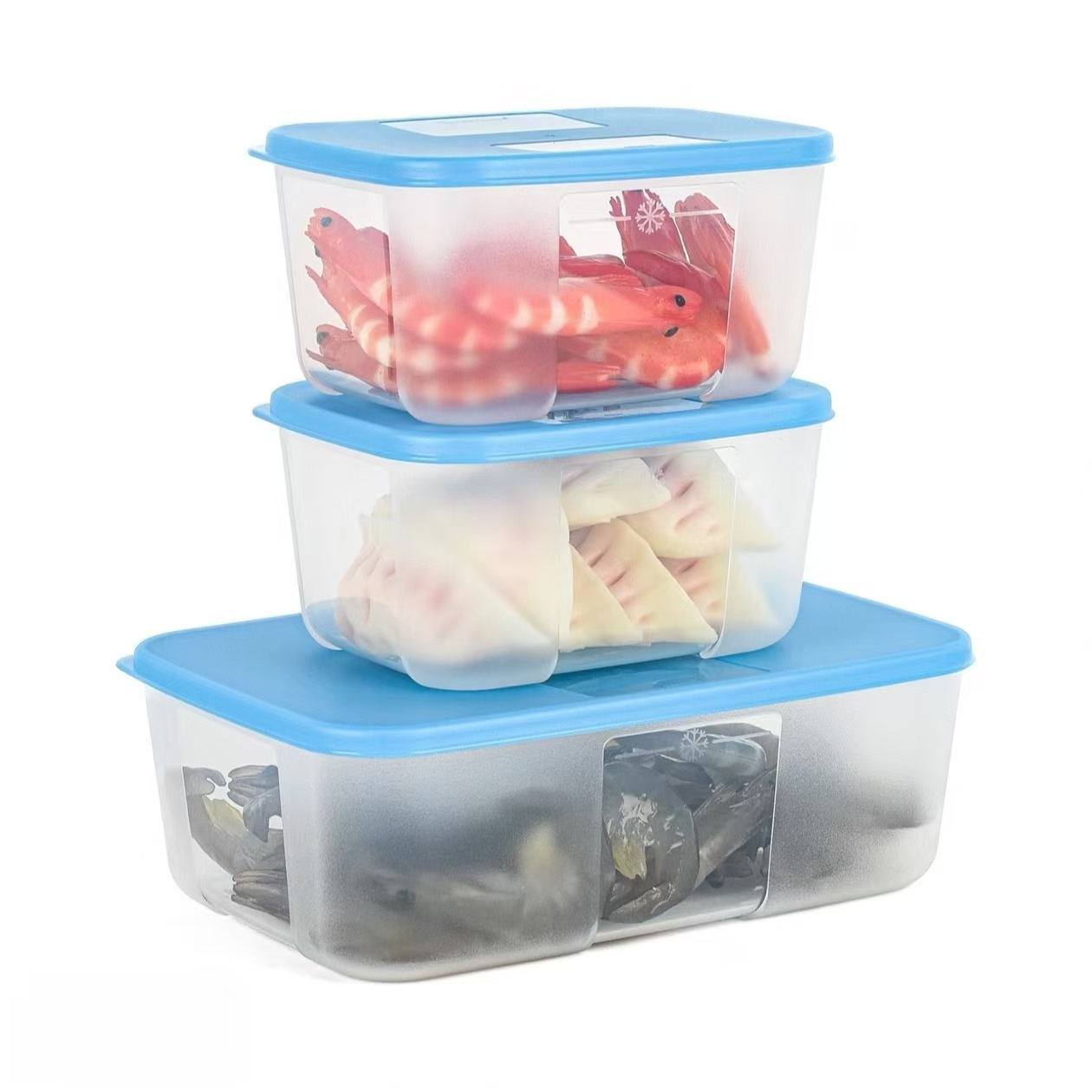 特百惠 冰鲜冷冻保鲜盒 冰箱冷冻冷藏分装盒密封收纳盒速冻
