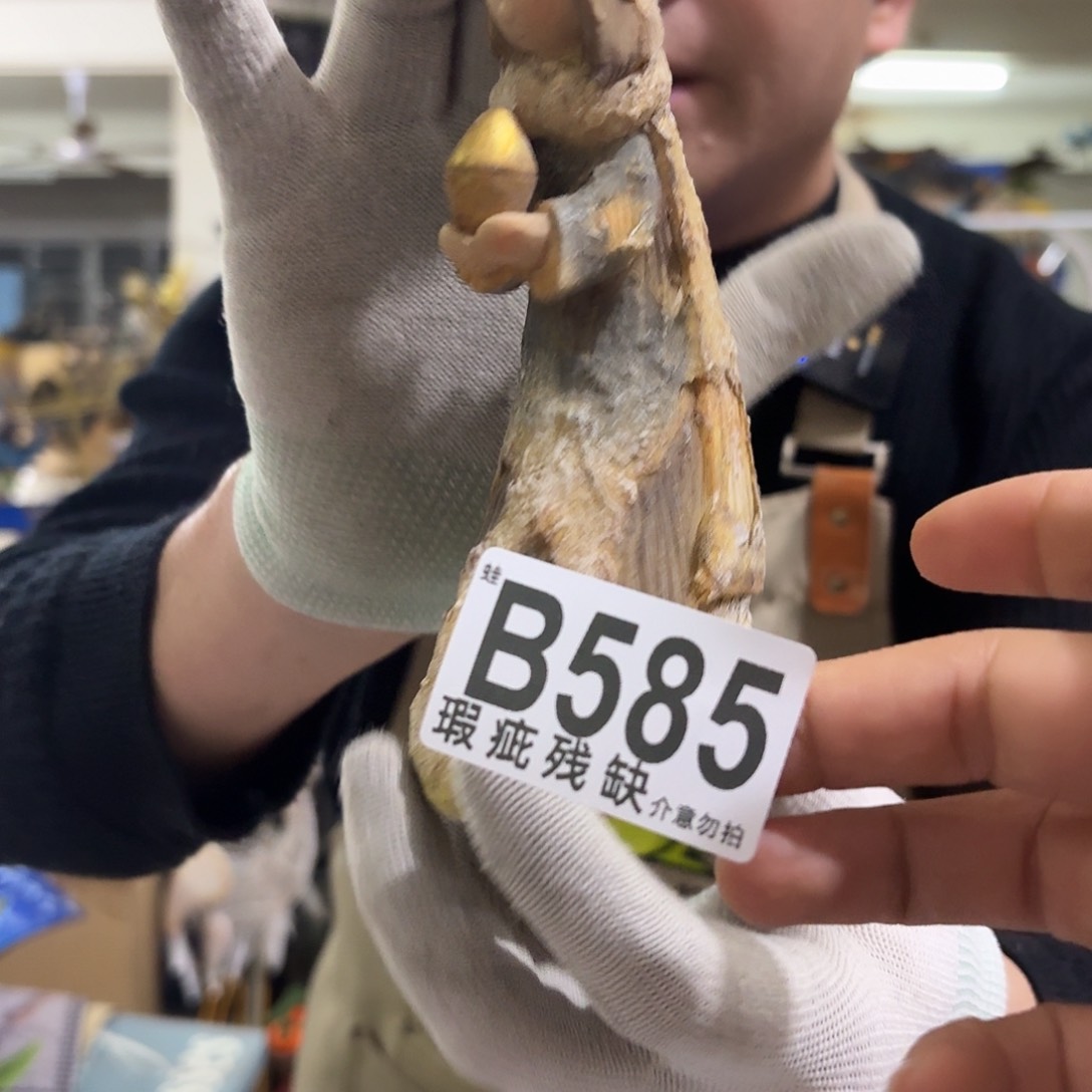 核桃木/黑胡桃（胡桃木）