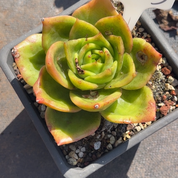 ****灵3003 00000000000000