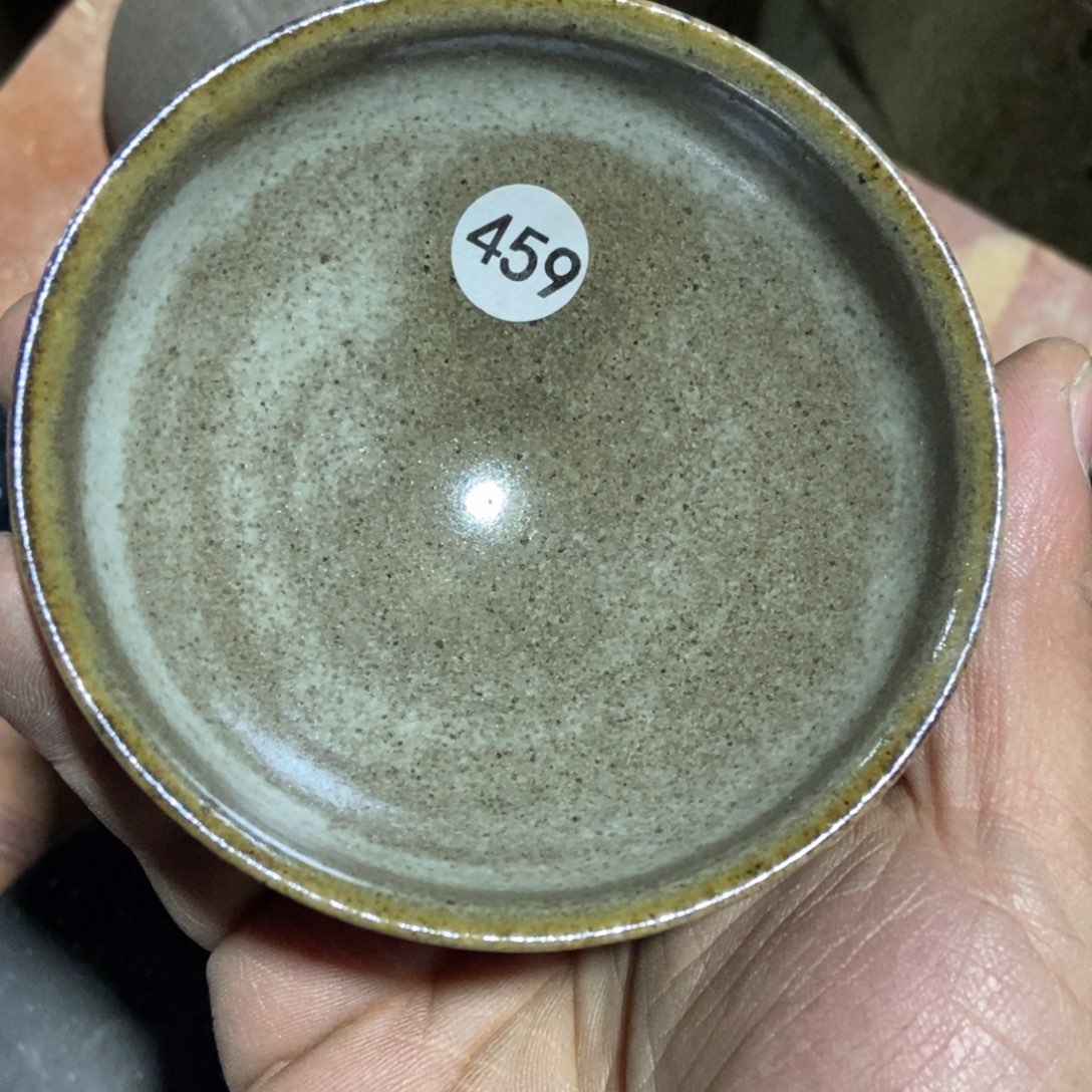 茶盏加油加油继续459