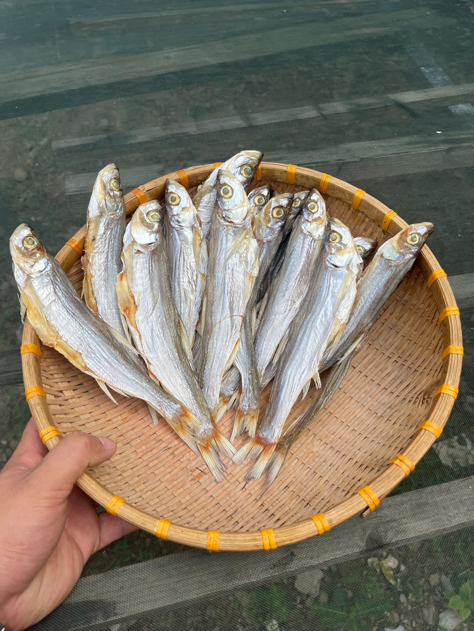 皖西大别山农家自捕翘嘴鱼干15---20厘米