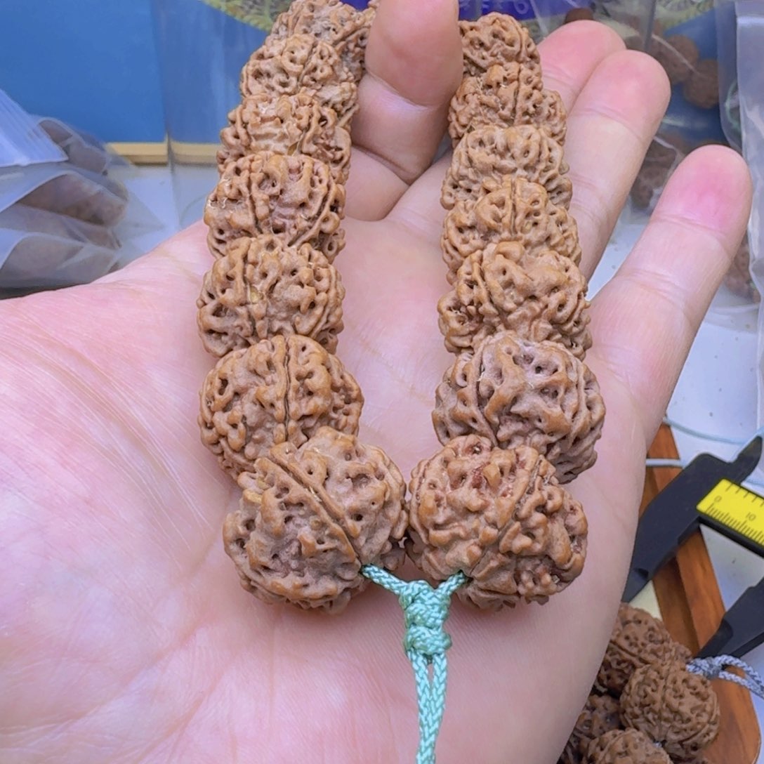 金刚菩提手串小*总古龙梅花