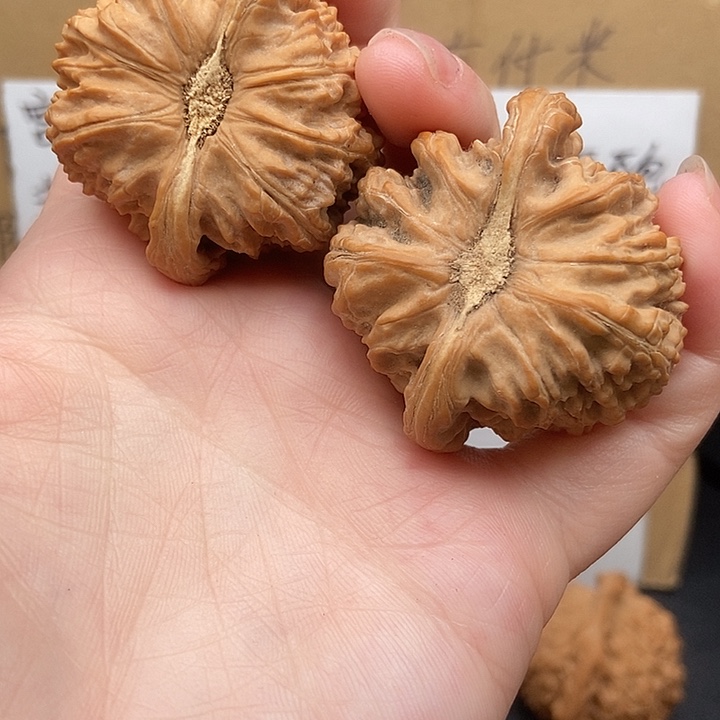 用***李大大大大大大狮子