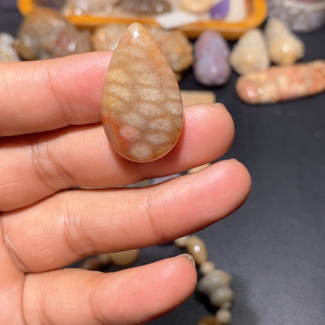 【闪购商品】硅化玉颈饰未镶嵌