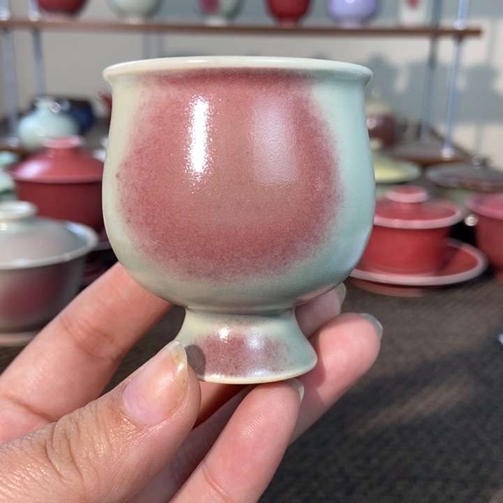 杯0000000000000000000000