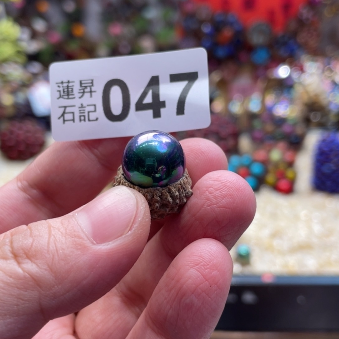 核桃木/黑胡桃（胡桃木）布**舍047