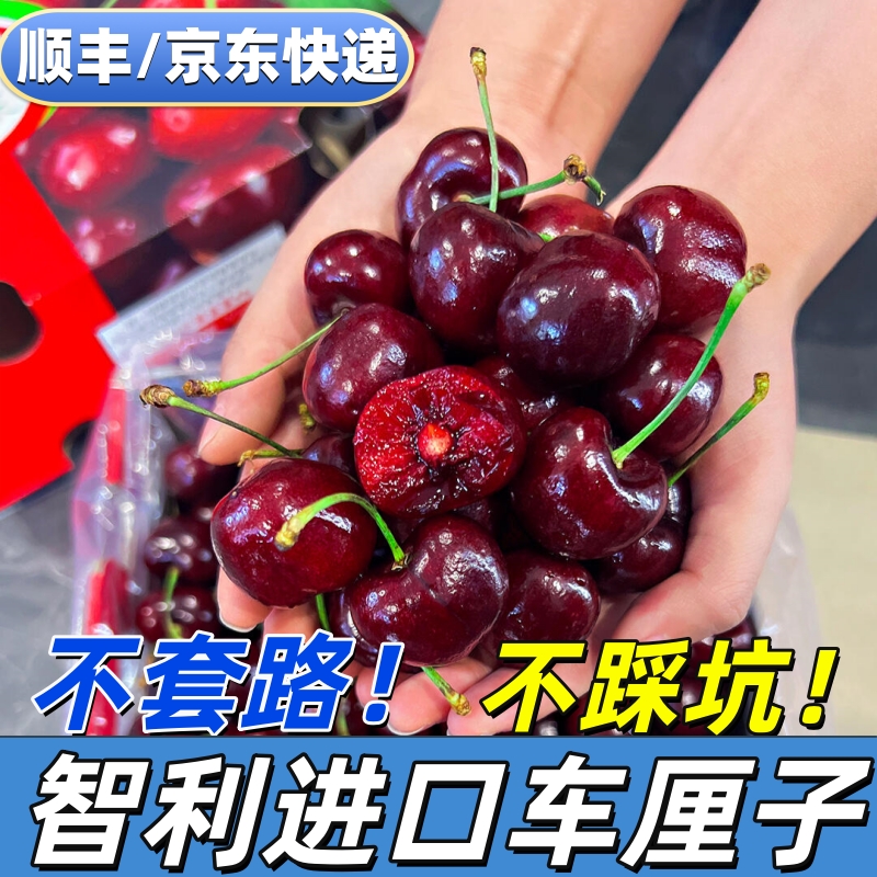 【车厘子5斤原箱】顺丰京东空运进口智利桑提娜3J-4J内附果径卡GR1