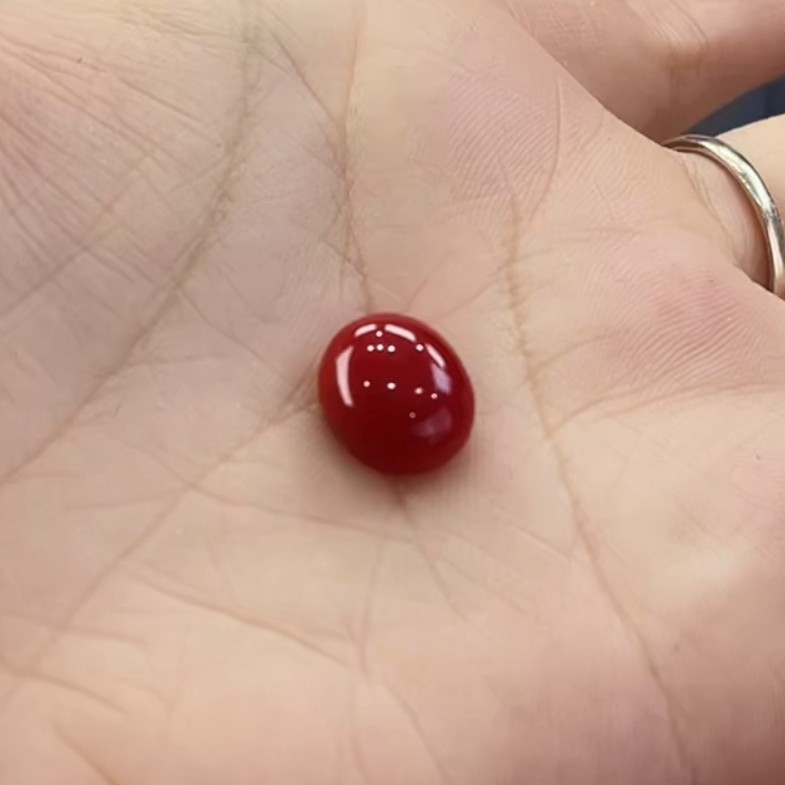 天然宝石红珊瑚裸石