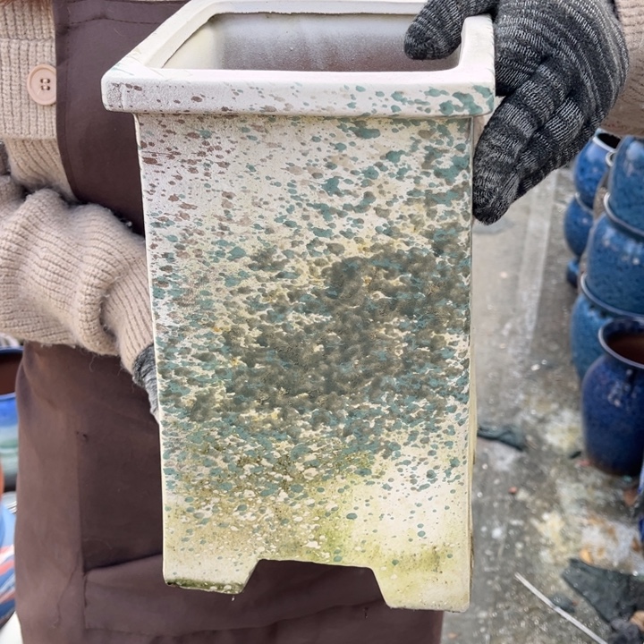 口17高30正品正品