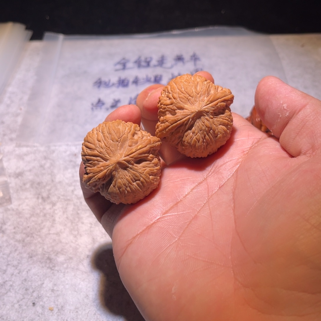 果***果哈哈哈哈哈哈哈哈哈哈哈