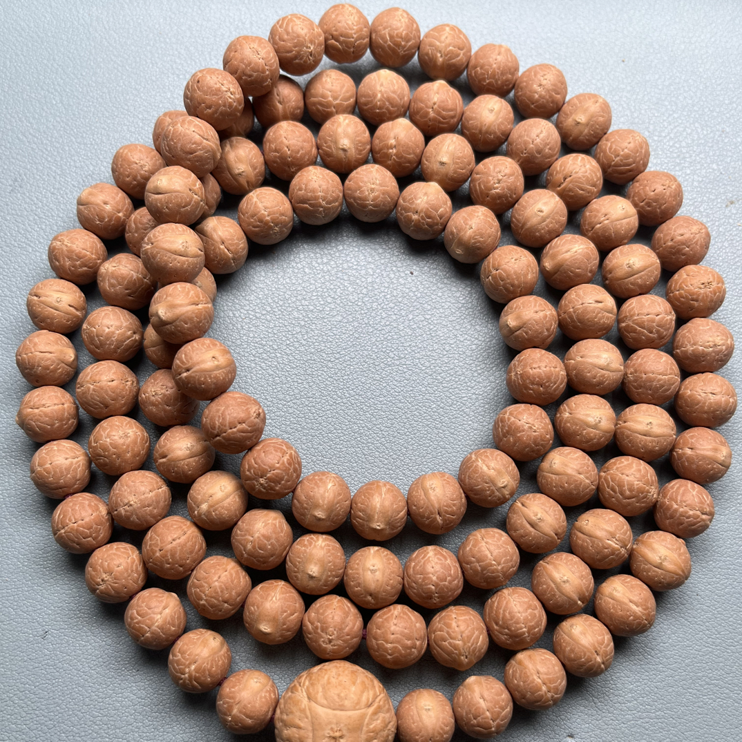尼泊尔小凤眼尺寸10.5mm