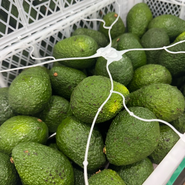 智利进口牛油果 六个装 1斤新鲜牛油果同城牛油果智利共和国