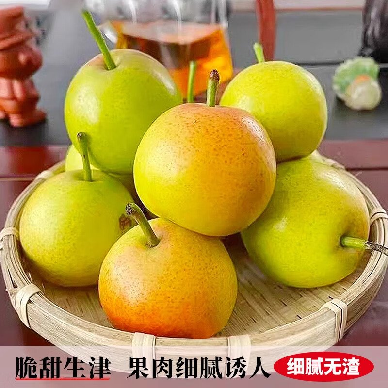 丁香梨新鲜水果当季现摘脆甜早白酥梨小雪梨蜂糖梨产地直供